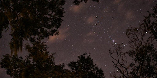 Night Hike in the Preserve primary image