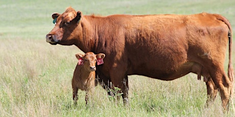 Holistic Management Tour & Farm Succession Planning Seminar