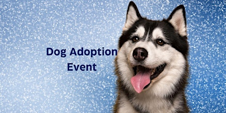 Dog Adoption Event and Fundraiser for Taysia Blue Husky & Malamute Rescue