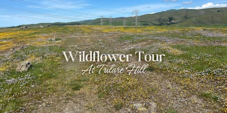 Wildflower Tour at Tulare Hill