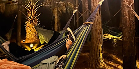 Moonlit Reiki Sound Bath Meditation in Pine Forest Hammocks