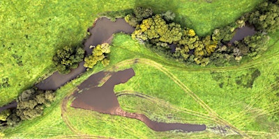 Site Visit: Killerton National Trust River Culm Restoration Project primary image