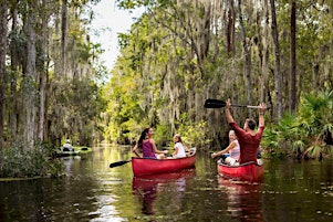 Imagem principal de Treinamento Disney Destinations & Visit Orlando em Belém