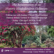 Image principale de The Rejuvenation of an Historic Rhododendron Collection