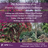 Imagen principal de The Rejuvenation of an Historic Rhododendron Collection