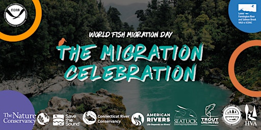 World Fish Migration Day: The Migration Celebration primary image