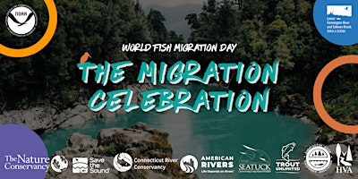 Hauptbild für World Fish Migration Day: The Migration Celebration