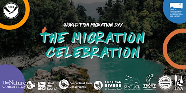 World Fish Migration Day: The Migration Celebration