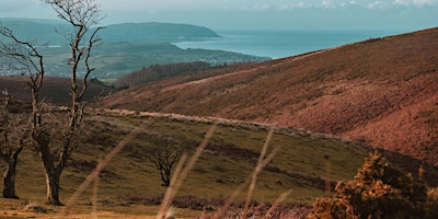 Primaire afbeelding van Over the Hills to Crowcombe - 10.5 miles / 5 hours (Challenging )