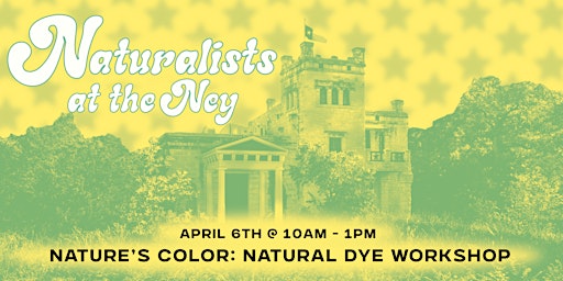 Imagen principal de Nature’s Color: Natural Dye Workshop