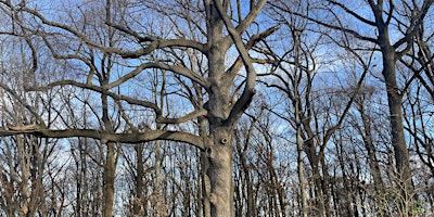 Primaire afbeelding van Recognition of Winterthur Museum, Garden & Library: New Castle County, DE