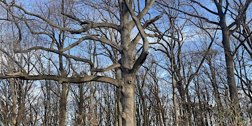 Primaire afbeelding van Recognition of Winterthur Museum, Garden & Library: New Castle County, DE