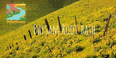 BalsamRoot Bash