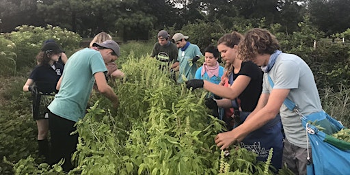 Hauptbild für Blackwood LANDFARM Volunteer Sign-up