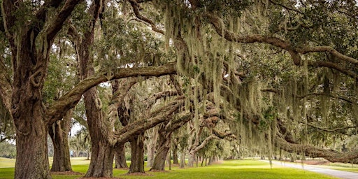 Imagem principal do evento The guided, Driving Tour of The Golden Isles