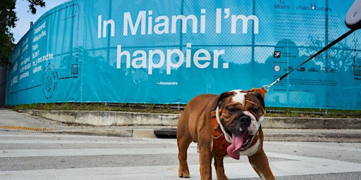 In Miami I'm Happier: O, Miami Education Showcase primary image