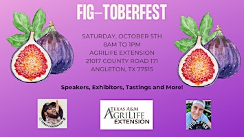 Imagem principal do evento Fig-toberfest