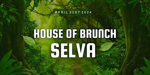 Primaire afbeelding van House of Brunch:     S E L V A