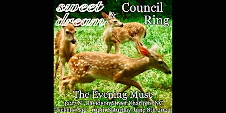 Sweet Dream and Council Ring