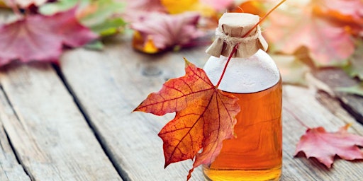 Maple Syrup Making Class primary image