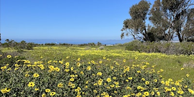 Image principale de Tour of Coal Oil Point Reserve