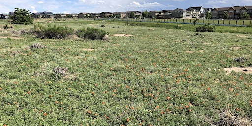 Monthly Bluff Lake Plant Walks primary image