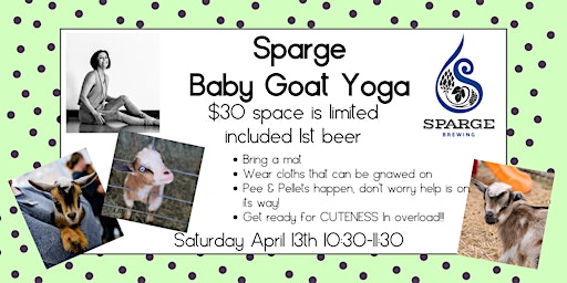 Sparge Baby Goat Yoga primary image