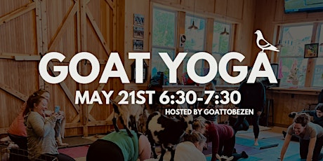 Goat Yoga at Eavesdrop Brewery!