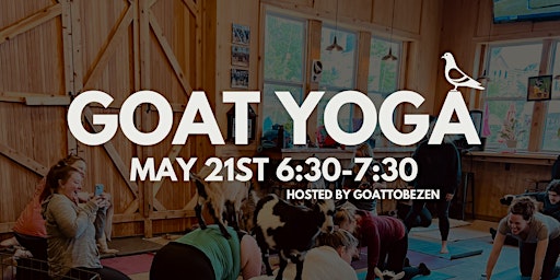 Goat Yoga at Eavesdrop Brewery! primary image