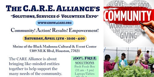 "Solutions, Services & Volunteer Expo" primary image