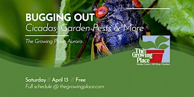 Bugging Out! Cicadas, Garden Pests & More primary image