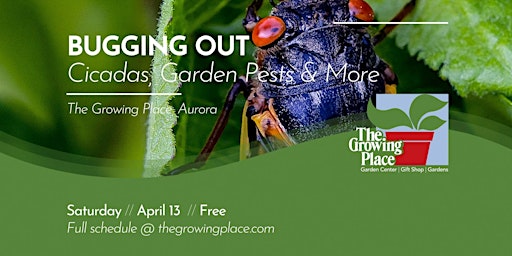 Imagem principal do evento Bugging Out! Cicadas, Garden Pests & More