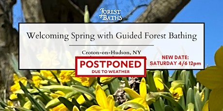 Welcoming Spring with Guided Group Forest Bathing