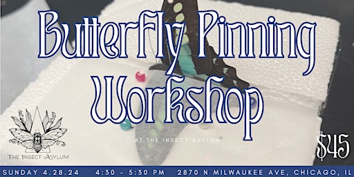 Primaire afbeelding van Butterfly Pinning Class