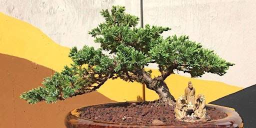 FREE Bonsai Demonstration primary image