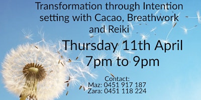 Immagine principale di Transformation through Intention setting with Cacao, Breathwork and Reiki 