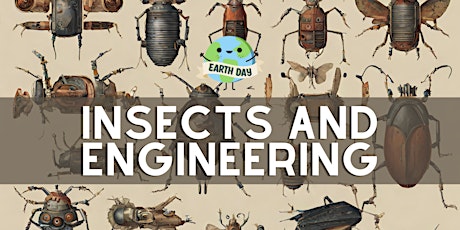 Insects and Engineering