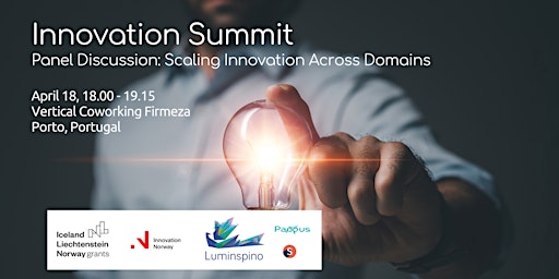 Primaire afbeelding van Panel -  Scaling Innovation Across Domains