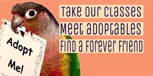 Imagem principal do evento May Adoption/Parrot Standards of Care Class