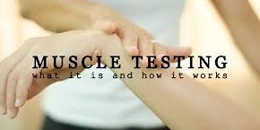 Muscle Testing Certification primary image