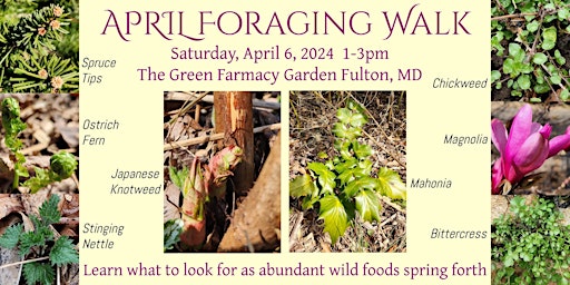 April Foraging Walk primary image
