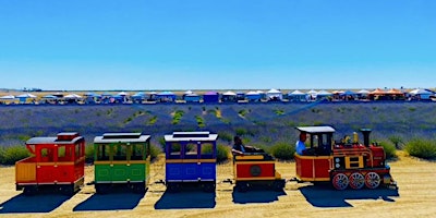 Image principale de 4TH ANNUAL LAVENDER FESTIVAL