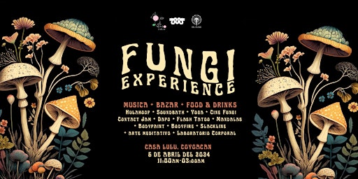 FUNGI EXPERIENCE primary image