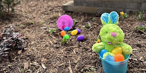 Immagine principale di Easter Egg Hunt + Egg Dying at Grey Hawk 