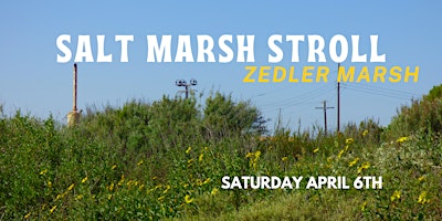 Imagem principal do evento Los Cerritos Wetlands Nature Walk : Salt Marsh Stroll