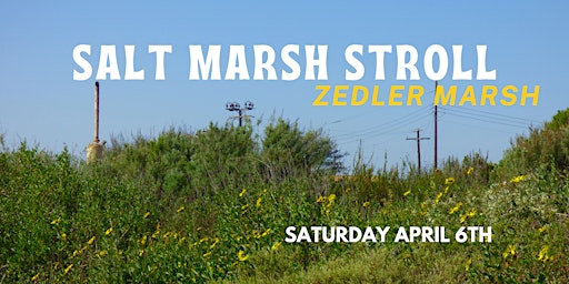 Primaire afbeelding van Los Cerritos Wetlands Nature Walk : Salt Marsh Stroll