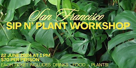 Sip n' Plant with the Soul Tribe Vibe