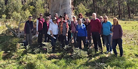 The Hahndorf Story including a Traditional Custodians Perspective