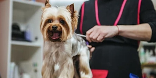 Groomer Wellness Seminar primary image