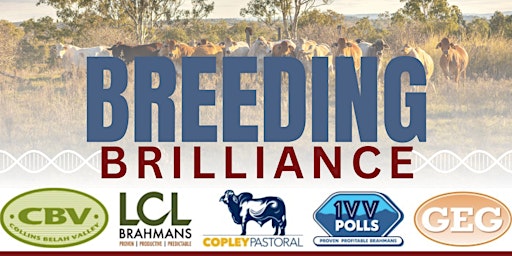 Imagem principal do evento Breeding Brilliance